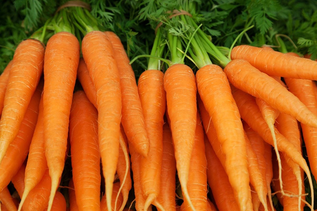 Carrots - Farm Fresh & Beyond