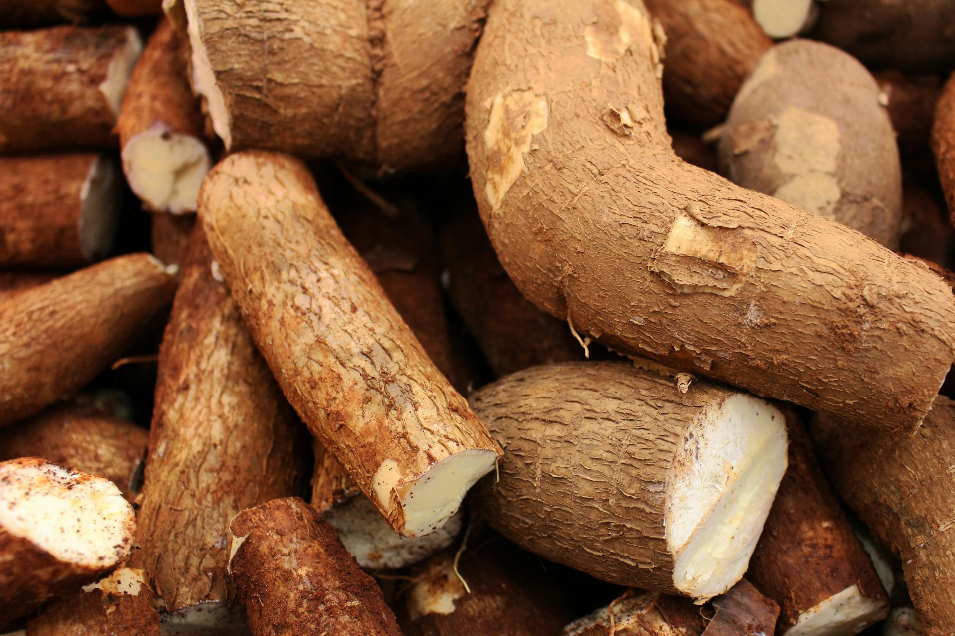 Cassava - Farm Fresh & Beyond