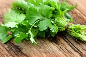 Coriander (50g) - Farm Fresh & Beyond