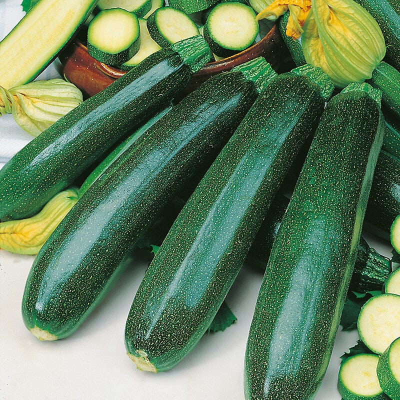 Courgette (Zucchini) - Farm Fresh & Beyond