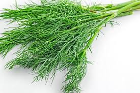 Dill (50g) - Farm Fresh & Beyond