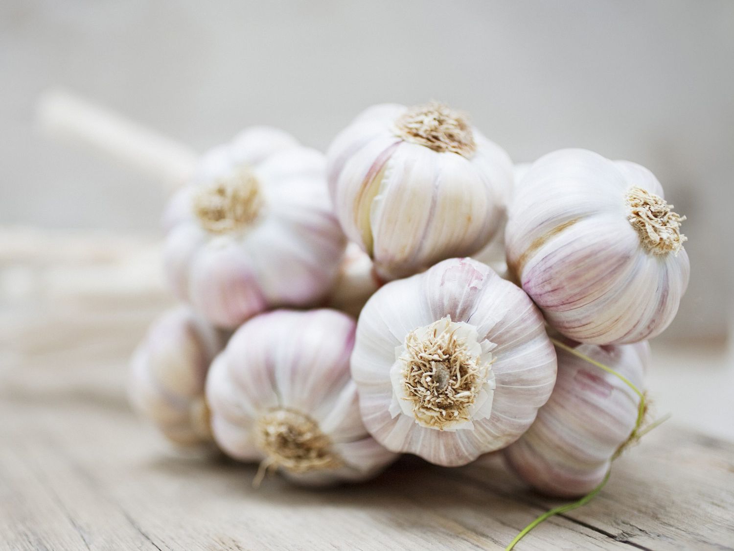 Garlic - Farm Fresh & Beyond