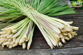 Lemon Grass (50g) - Farm Fresh & Beyond
