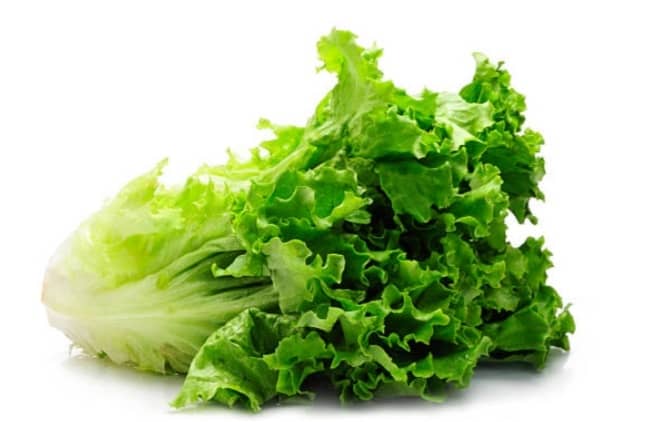 Lettuce - Farm Fresh & Beyond