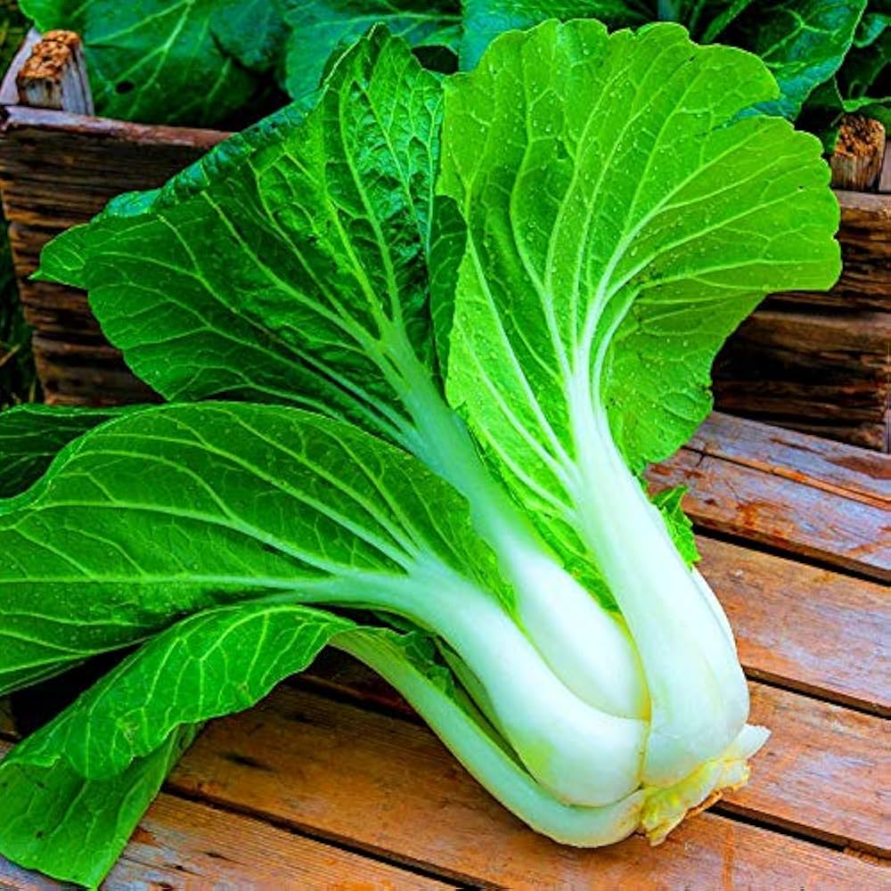 Pakchoi - Farm Fresh & Beyond