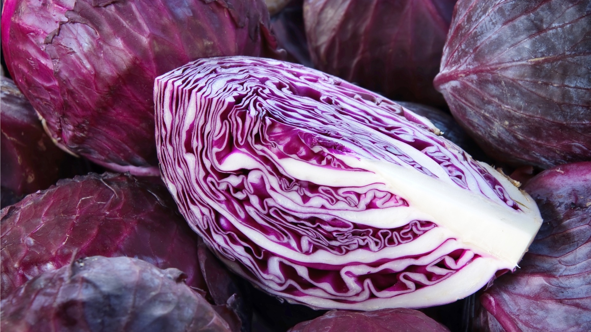 Red Cabbage - Farm Fresh & Beyond