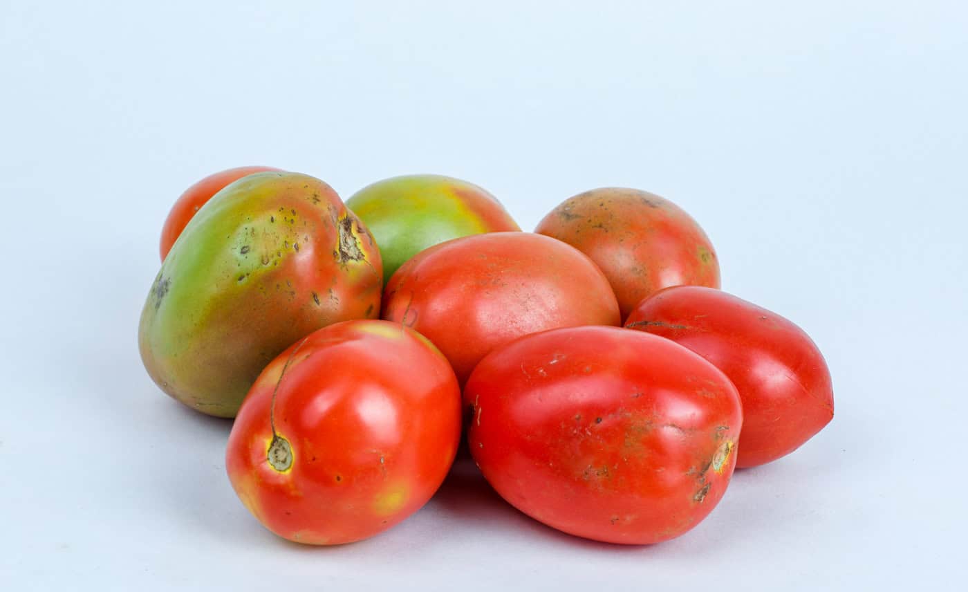 Tomatoes - Farm Fresh & Beyond